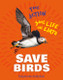 Take Action: Save Birds (Paperback)