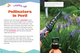 Take Action: Save Pollinators (Paperback)