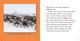 Marvelous Migrations: Caribou Migration (Paperback)