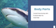 If I Were an Animal: If I Were A Shark (Paperback)