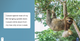 If I Were an Animal: If I Were A Sloth (Paperback)
