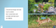 If I Were an Animal: If I Were A Wolf (Paperback)