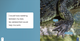If I Were an Animal: If I Were An Alligator (Paperback)