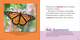 Marvelous Migrations: Monarch Butterfly Migration (Paperback)