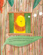 Brian the Dancing Lion (Hardcover)