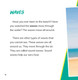 Waves in Motion: Sound Waves (Hardcover)