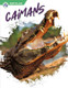 Reptiles - Set of 8 (Paperback)