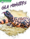 Reptiles - Set of 8 (Paperback)
