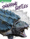 Reptiles - Set of 8 (Hardcover)