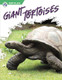 Reptiles - Set of 8 (Hardcover)
