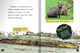 Animal Extremes - 8 Titles (Hardcover)