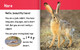 Hello, Beautiful! Desert Animals (Hardcover)