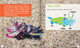 Science Behind the Colors: Cuttlefish (Hardcover)