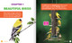 Science Behind the Colors: Goldfinches (Hardcover)