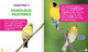 Science Behind the Colors: Goldfinches (Hardcover)