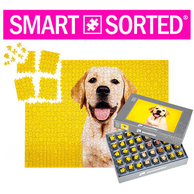 smart-sorted image