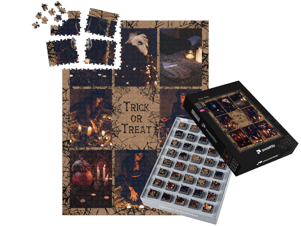 smart-sorted-puzzle-1000||pieces-with-box