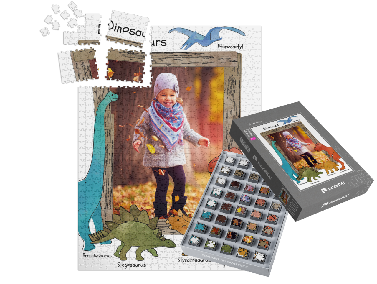 smart-sorted-puzzle-1000||pieces-with-box