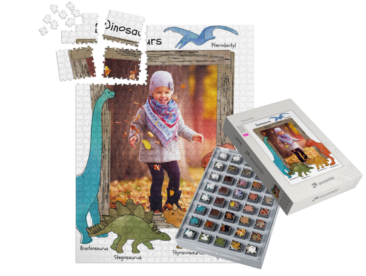 smart-sorted-puzzle-1000||pieces-with-box