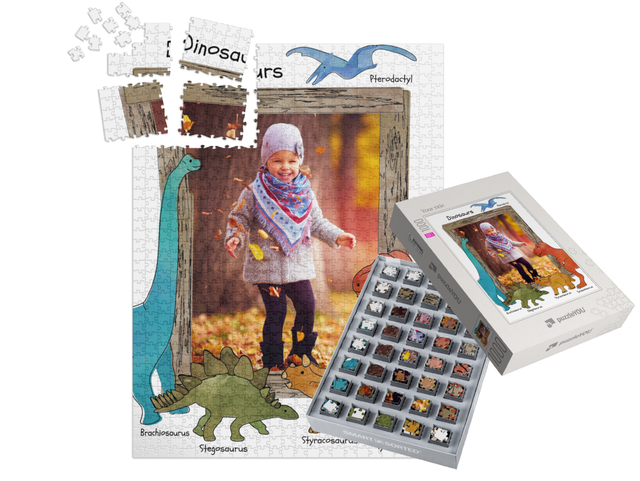 smart-sorted-puzzle-1000||pieces-with-box