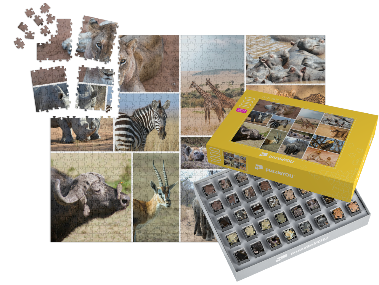 smart-sorted-puzzle-1000||pieces-with-box