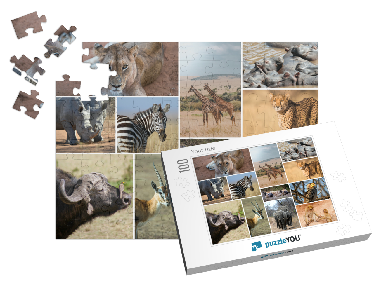 puzzle-100||pieces-with-box