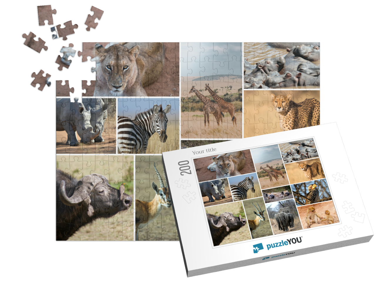 puzzle-200||pieces-with-box