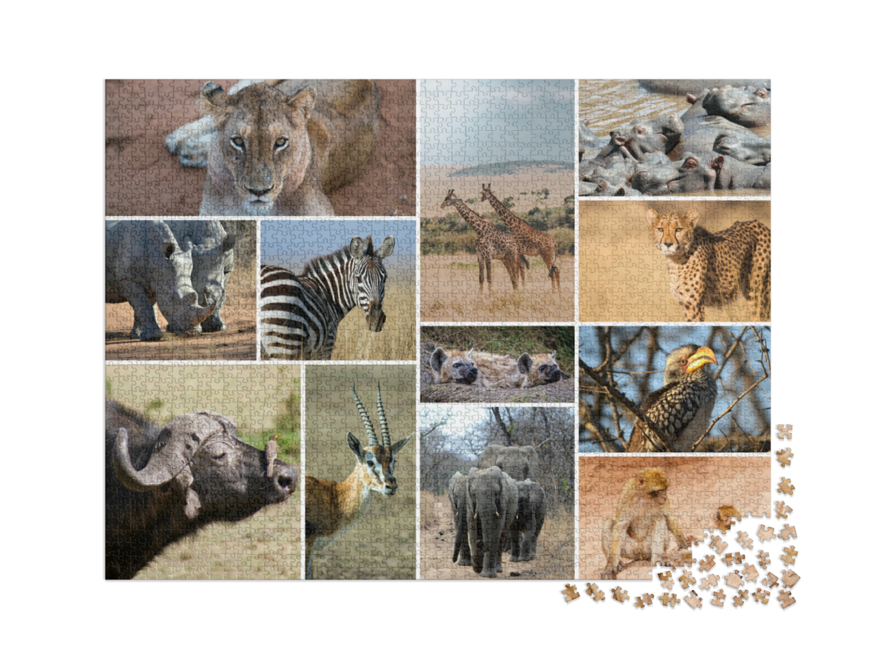 puzzle-2000-usa-2021||pieces