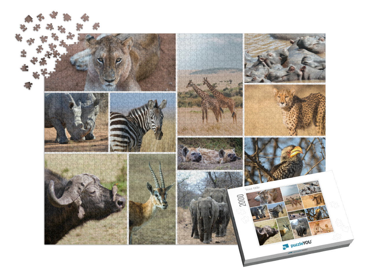 puzzle-2000-usa-2021||pieces-with-box