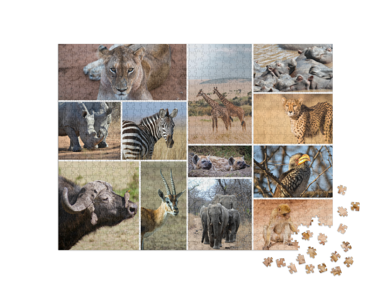 puzzle-1000-box-small||pieces