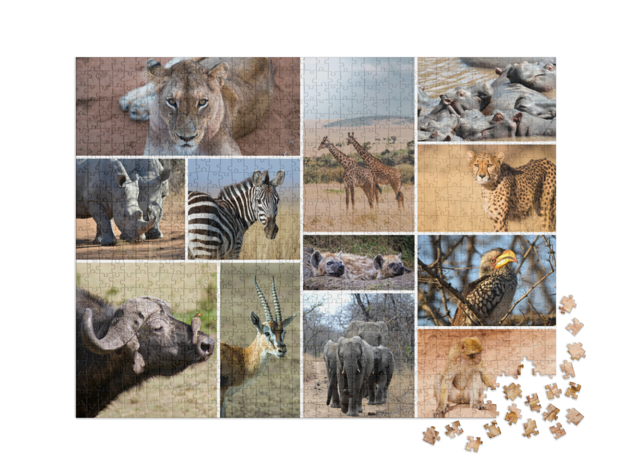 puzzle-1000-xxl-usa-2023||pieces