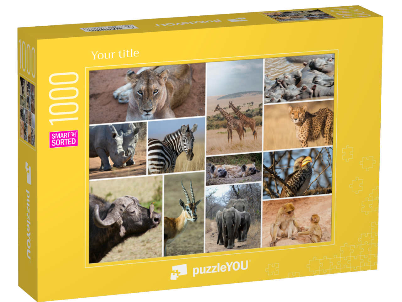 smart-sorted-puzzle-1000||box