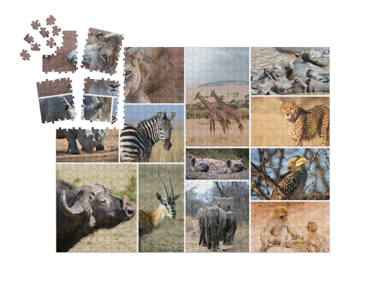 smart-sorted-puzzle-1000||pieces