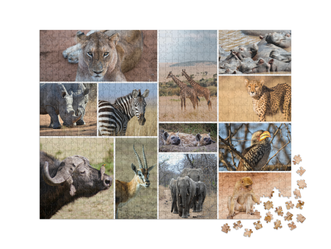 puzzle-1000-xxl-usa-2023||pieces