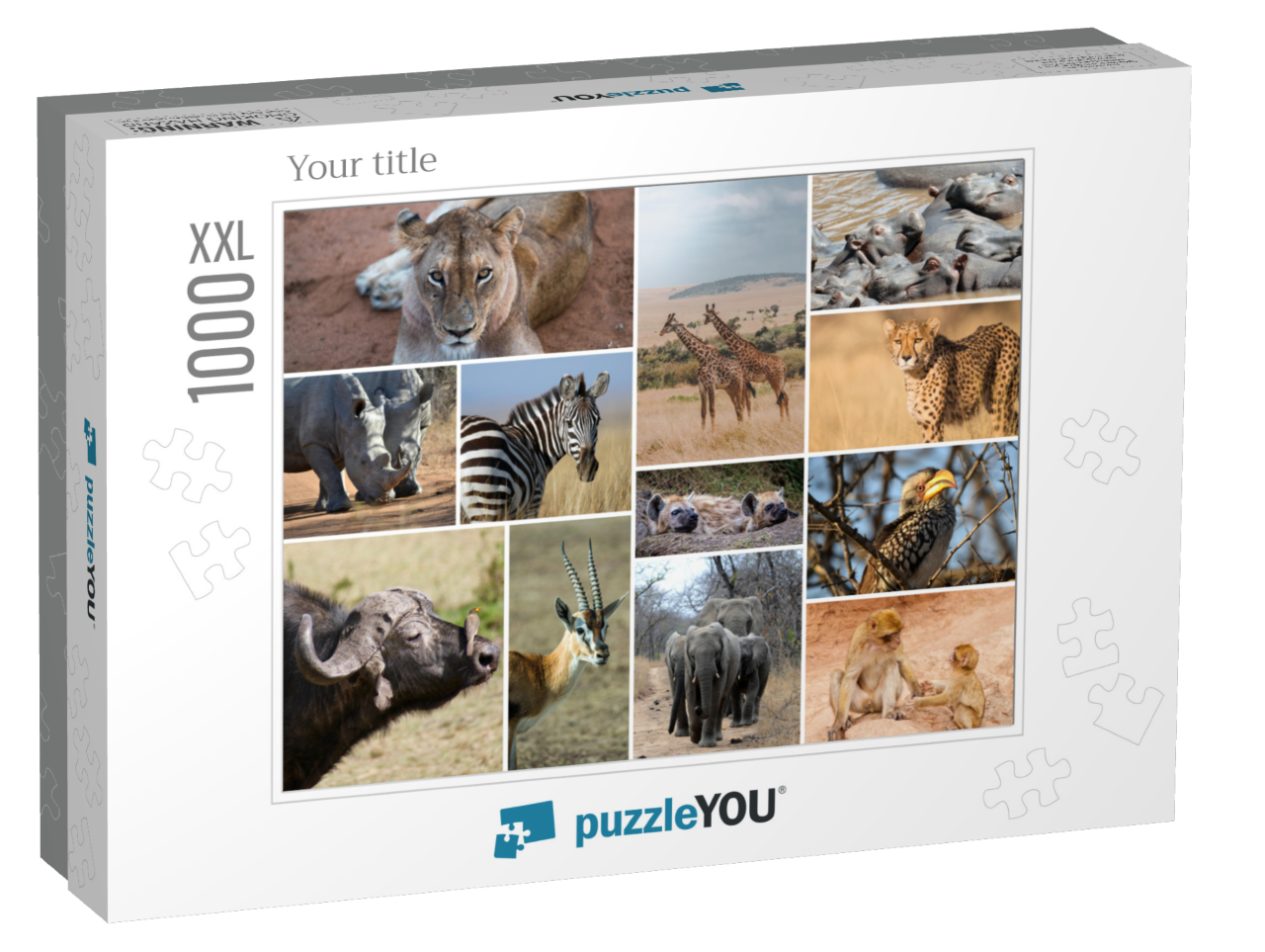 puzzle-1000-xxl-usa-2023||box