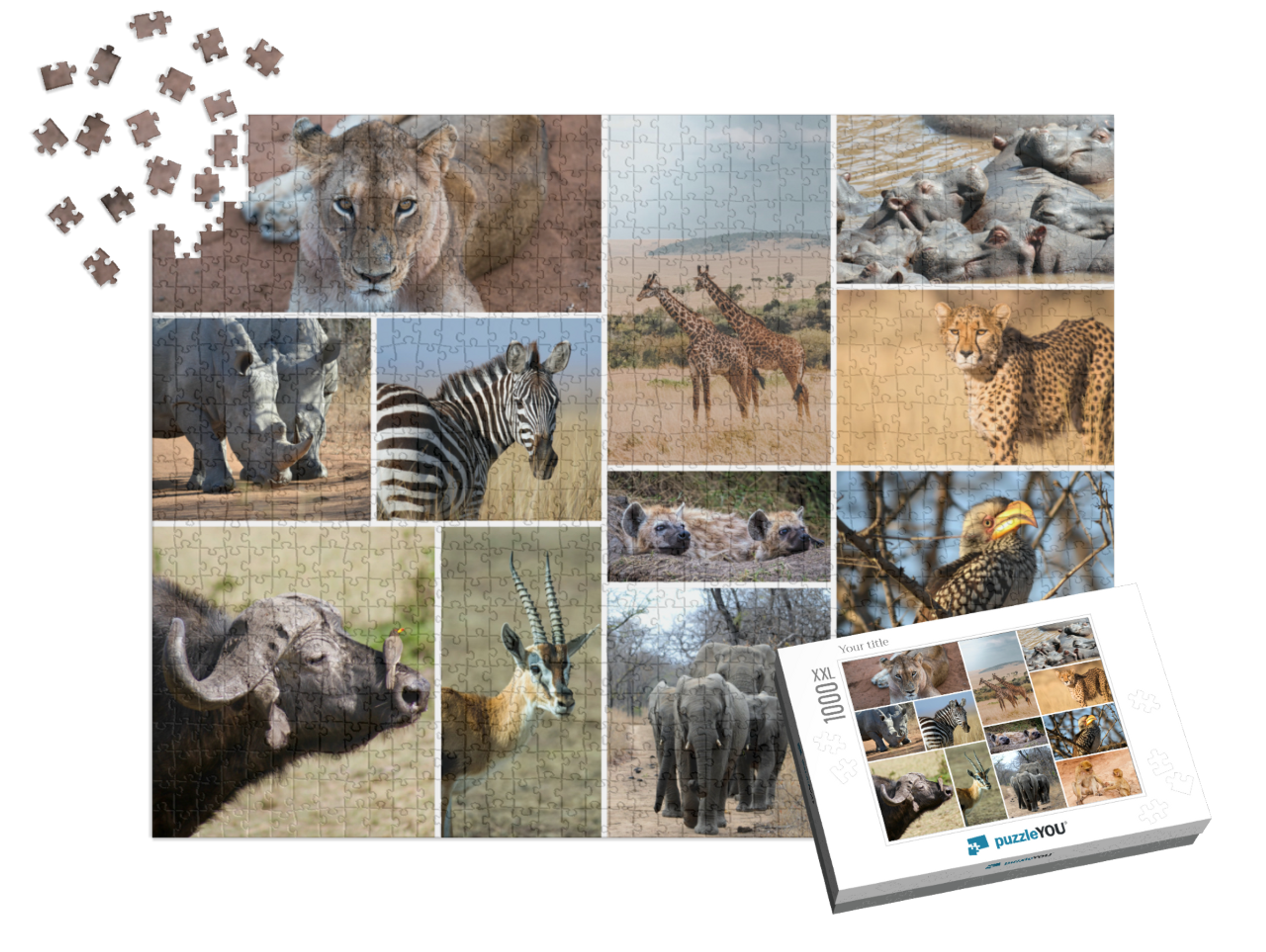 puzzle-1000-xxl-usa-2023||pieces-with-box