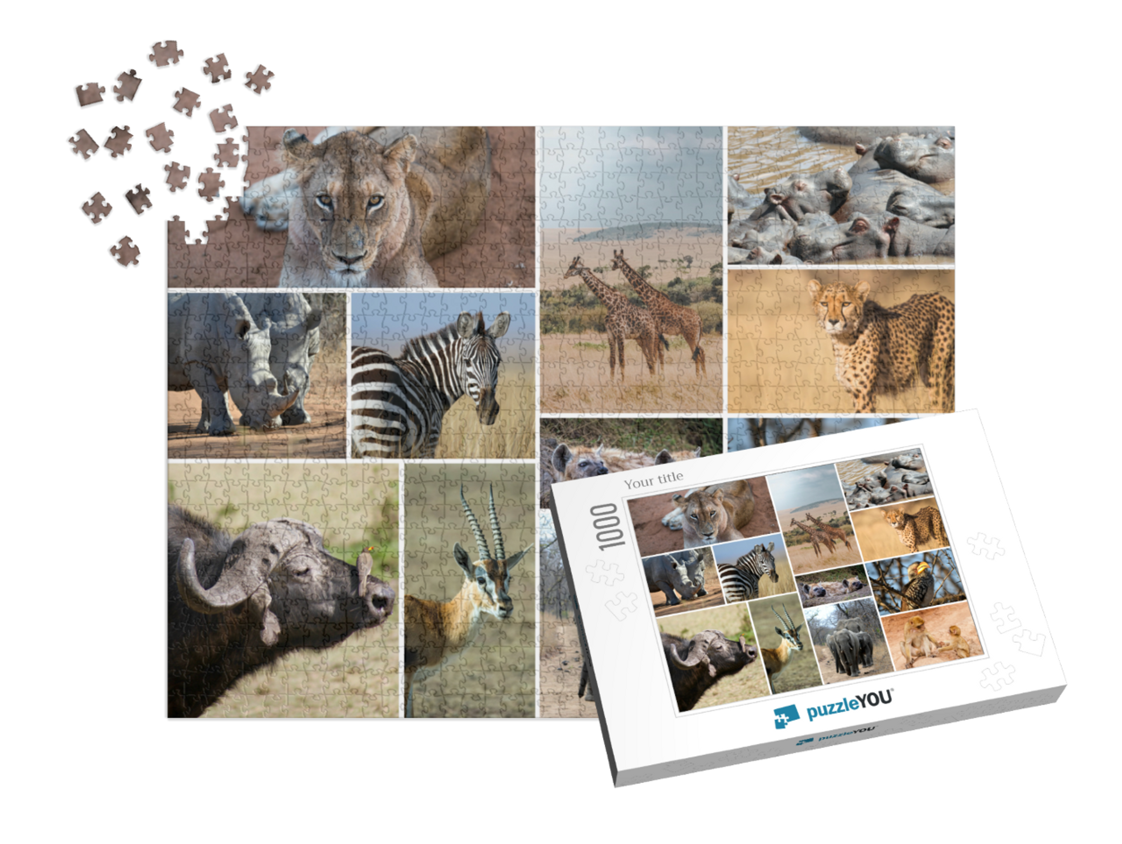 puzzle-1000-box-small||pieces-with-box