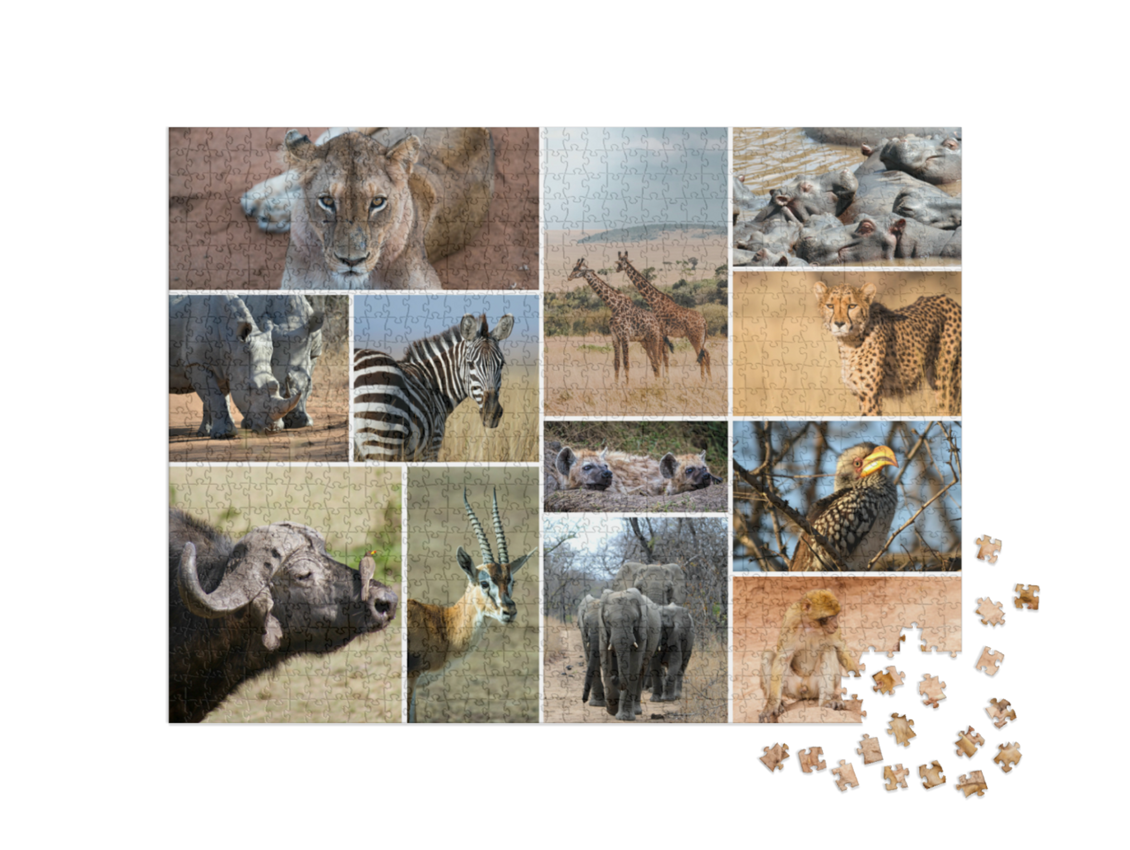 puzzle-1000-box-small||pieces