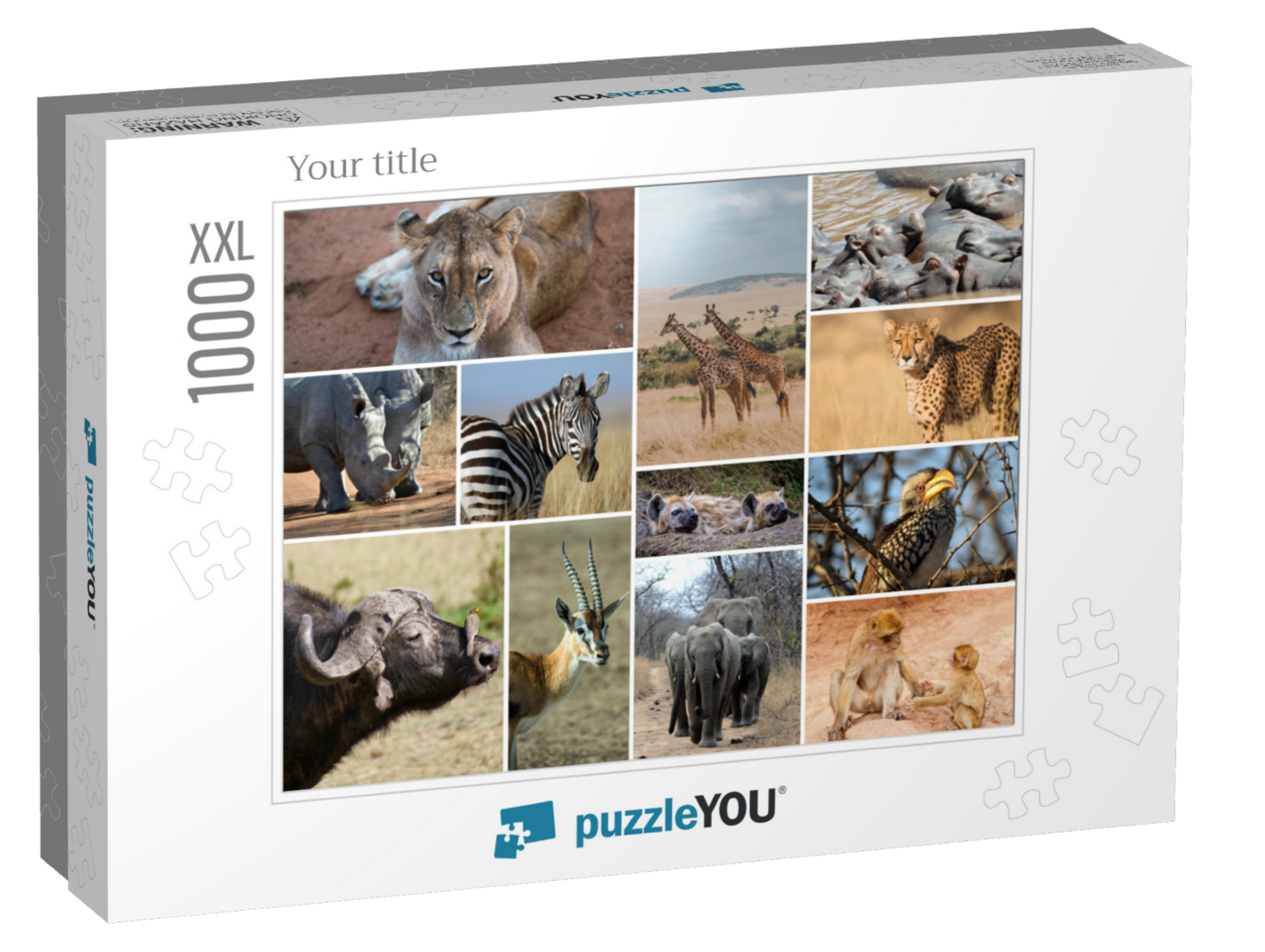 puzzle-1000-xxl-usa-2023||box