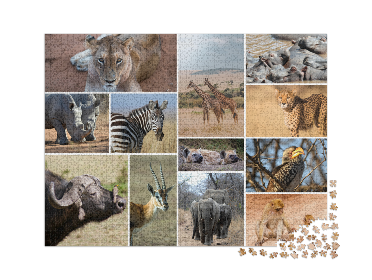 puzzle-2000-usa-2021||pieces