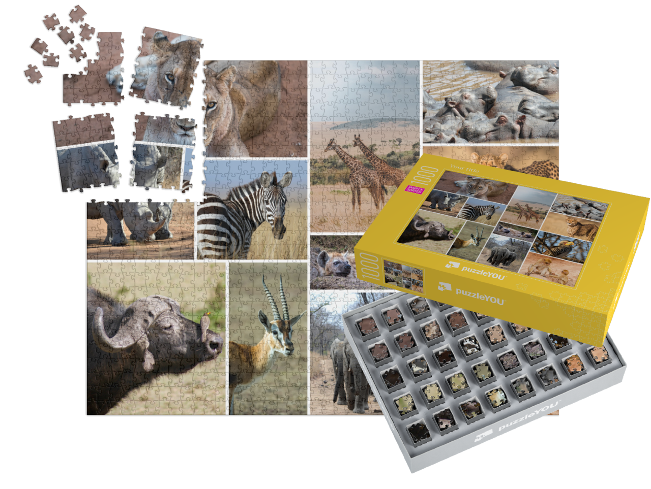 smart-sorted-puzzle-1000||pieces-with-box