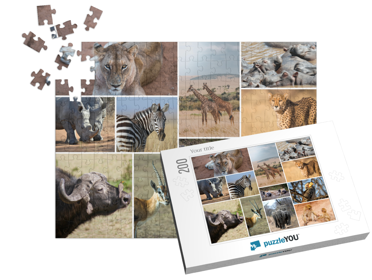 puzzle-200||pieces-with-box
