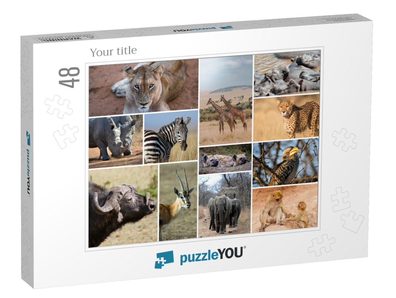 puzzle-48||box