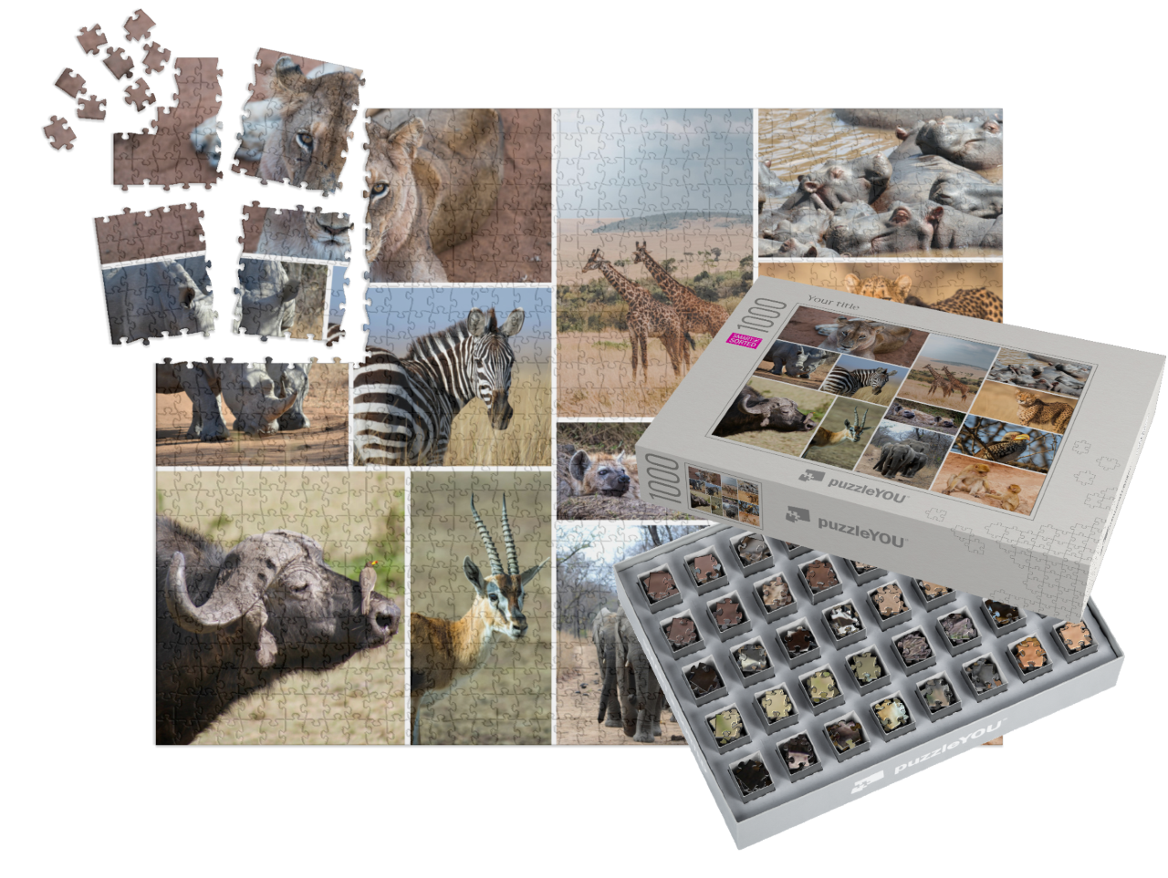 smart-sorted-puzzle-1000||pieces-with-box