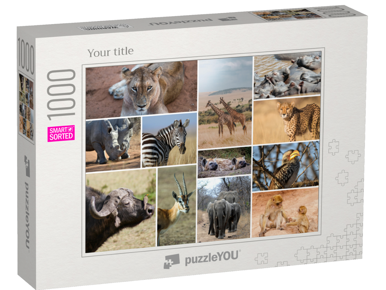 smart-sorted-puzzle-1000||box