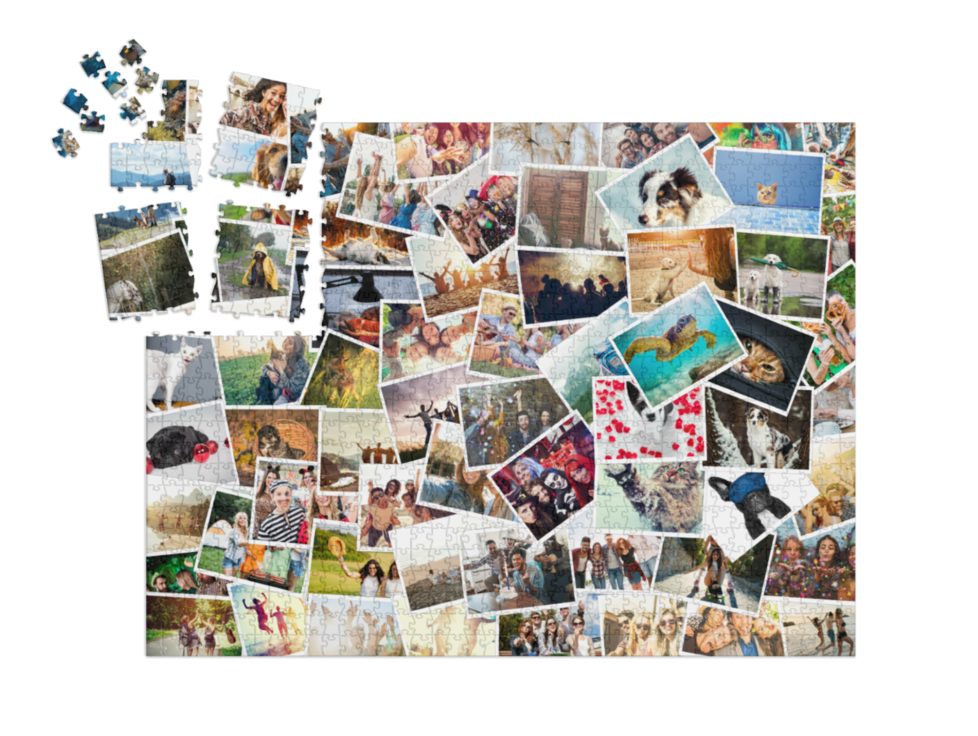 smart-sorted-puzzle-1000||pieces