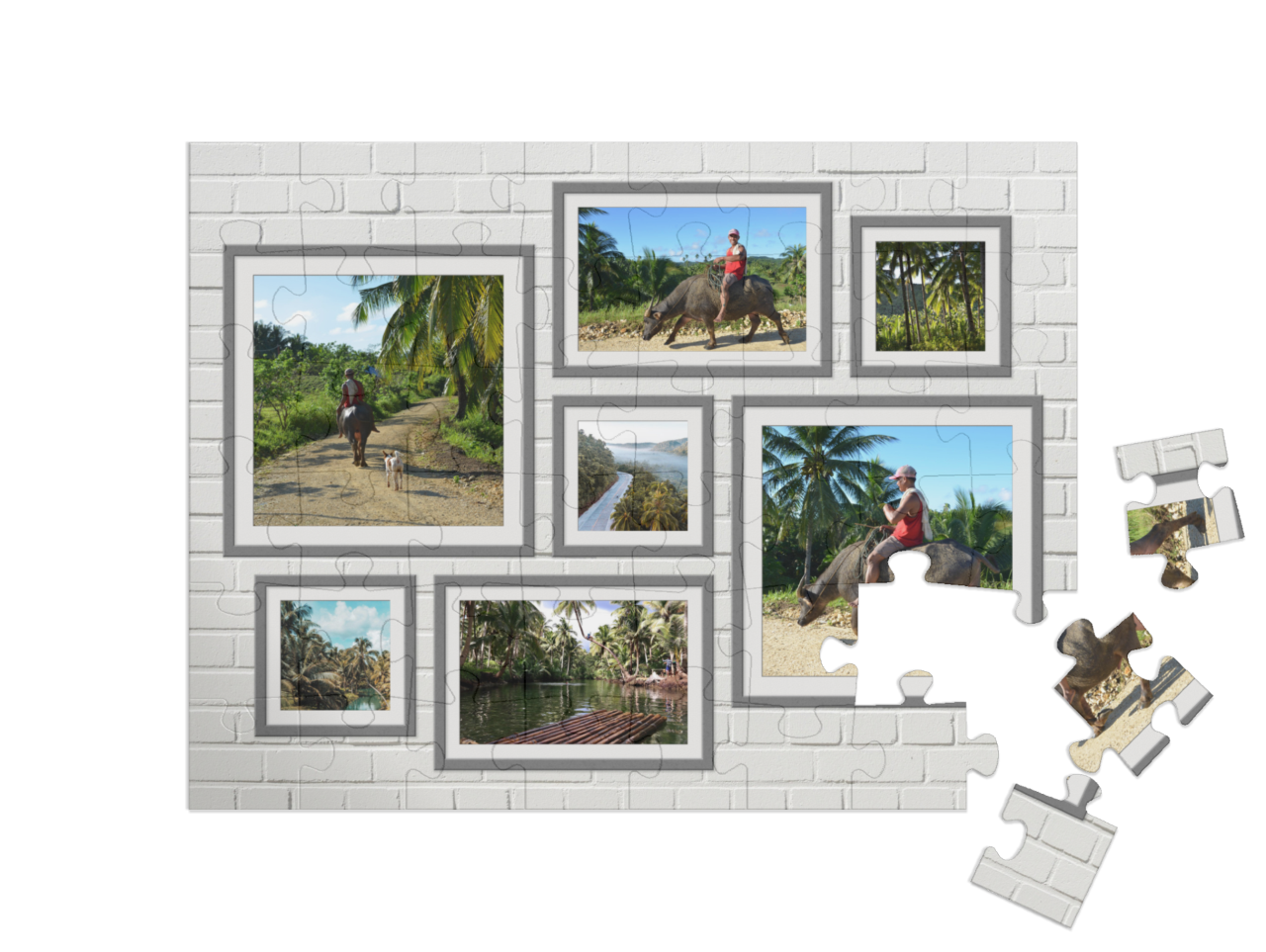 usa_puzzle-48||pieces