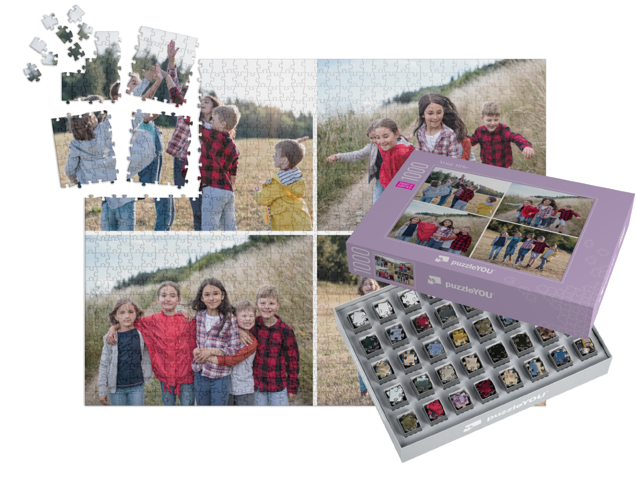 smart-sorted-puzzle-1000||pieces-with-box
