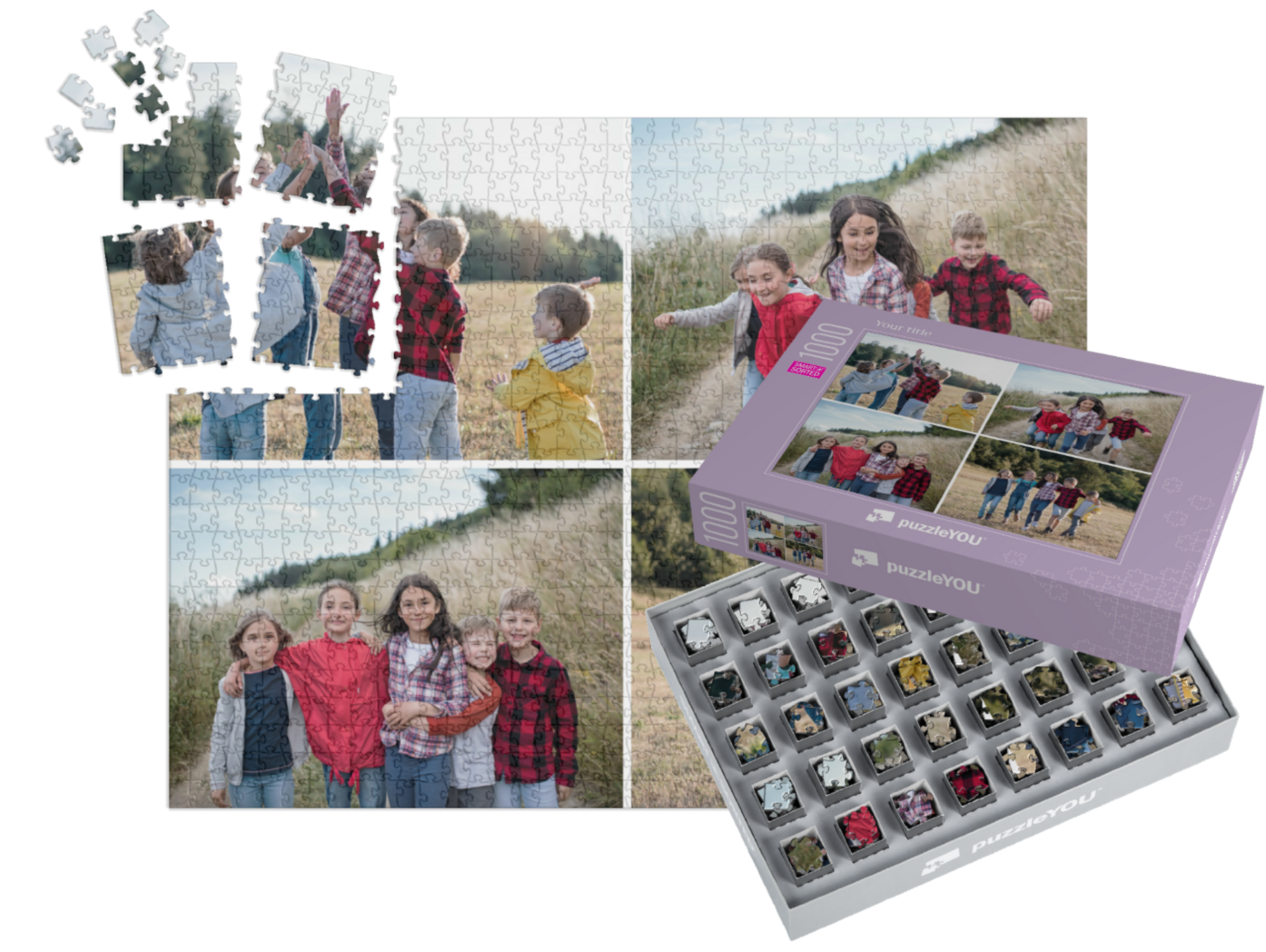 smart-sorted-puzzle-1000||pieces-with-box