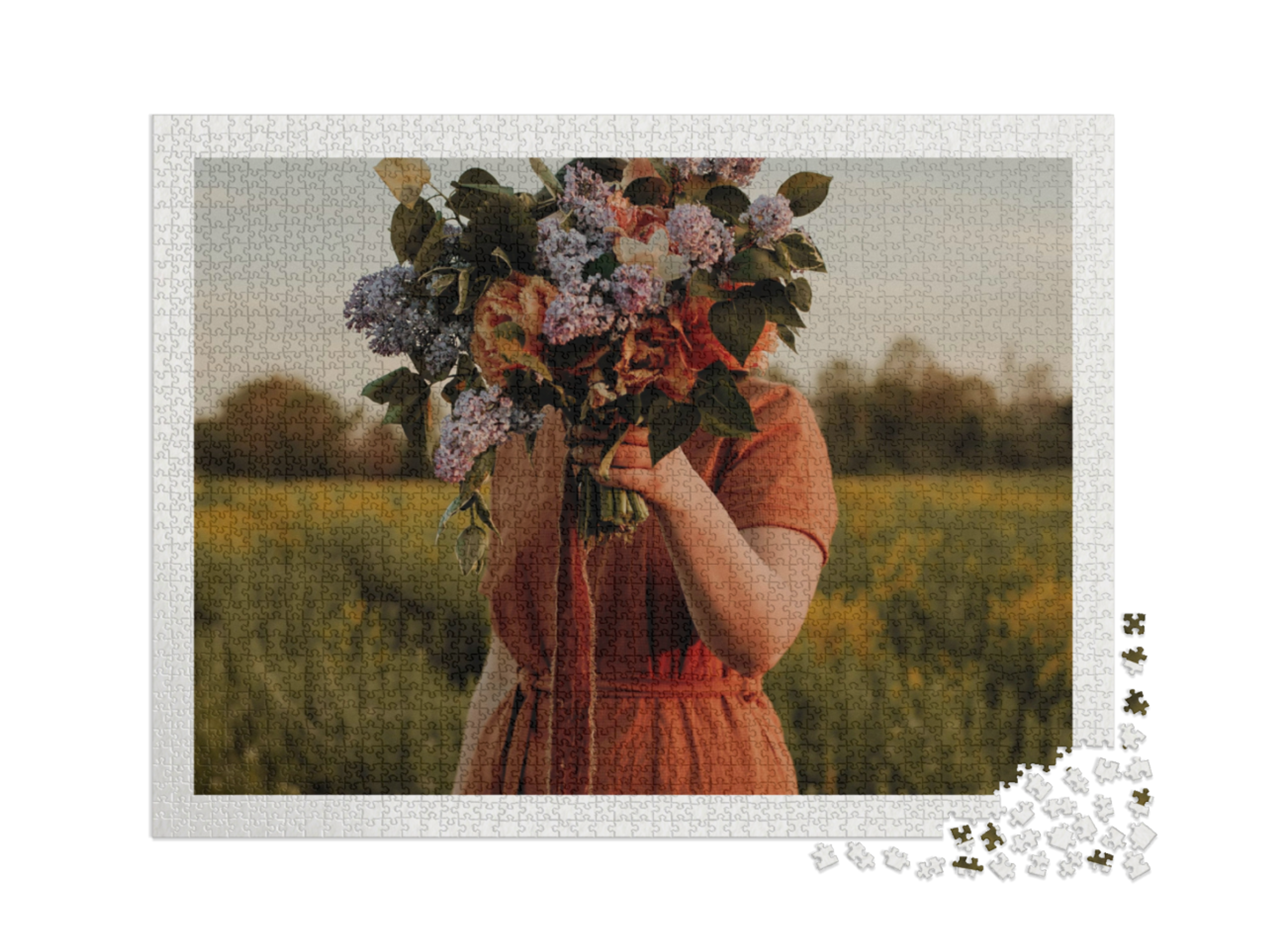 puzzle-2000-usa-2021||pieces